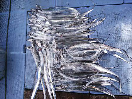 第二常豊丸 釣果