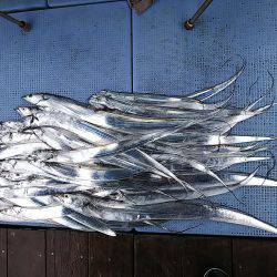 第二常豊丸 釣果