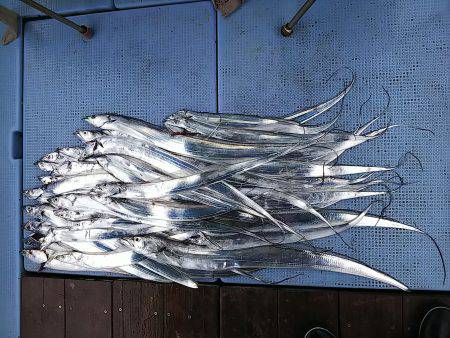 第二常豊丸 釣果