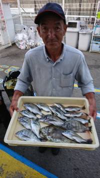 和歌山マリーナシティ釣り公園 釣果