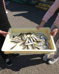 和歌山マリーナシティ釣り公園 釣果