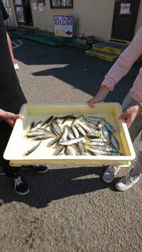 和歌山マリーナシティ釣り公園 釣果
