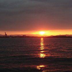 フィッシングボートACE(エース) 釣果