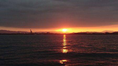 フィッシングボートACE(エース) 釣果