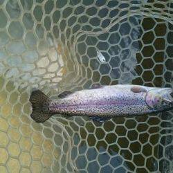 フィッシングエリア帝釈 釣果