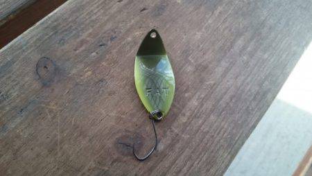 フィッシングエリア帝釈 釣果