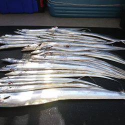 武士(SAMURAI) 釣果