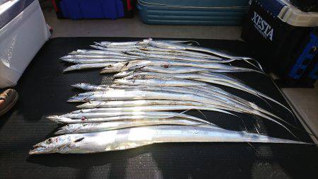 武士(SAMURAI) 釣果