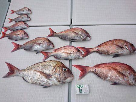 フィッシングボートACE（エース） 釣果