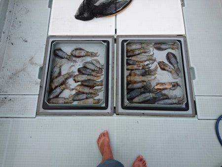 フィッシングボートACE(エース) 釣果