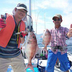 フィッシングボートACE(エース) 釣果