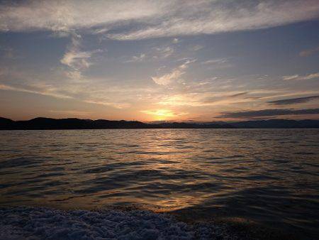 フィッシングボートACE(エース) 釣果