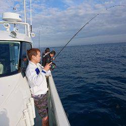 フィッシングボートACE(エース) 釣果