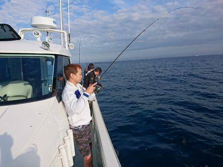 フィッシングボートACE(エース) 釣果
