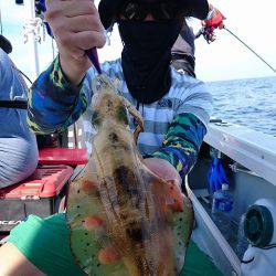 フィッシングボートACE(エース) 釣果