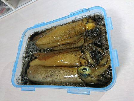 フィッシングボートACE(エース) 釣果