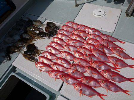 フィッシングボートACE(エース) 釣果