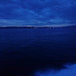 フィッシングボートACE（エース） 釣果