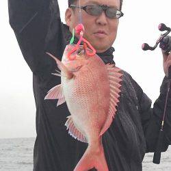 フィッシングボートACE（エース） 釣果