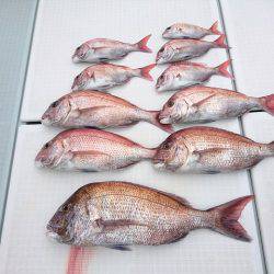 フィッシングボートACE（エース） 釣果