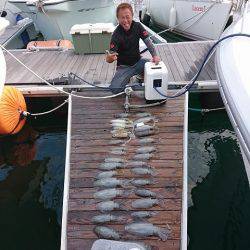 フィッシングボートACE(エース) 釣果