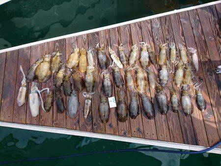 フィッシングボートACE（エース） 釣果