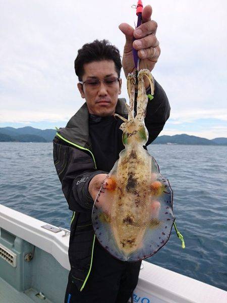 フィッシングボートACE（エース） 釣果