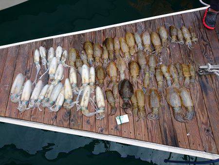 フィッシングボートACE（エース） 釣果