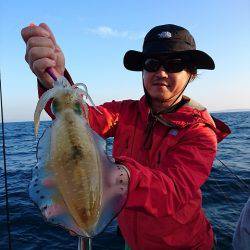 フィッシングボートACE(エース) 釣果