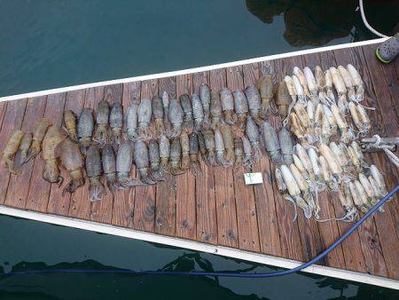 フィッシングボートACE(エース) 釣果