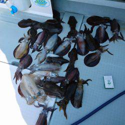 フィッシングボートACE(エース) 釣果