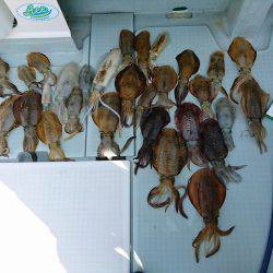 フィッシングボートACE(エース) 釣果