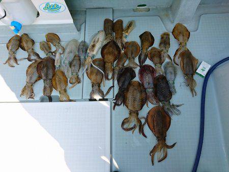 フィッシングボートACE(エース) 釣果