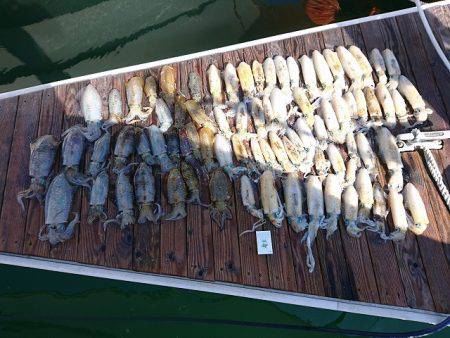 フィッシングボートACE(エース) 釣果