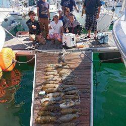 フィッシングボートACE（エース） 釣果