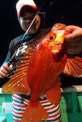 愛海丸 釣果