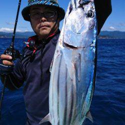 シードリーム 釣果