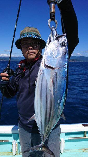 シードリーム 釣果