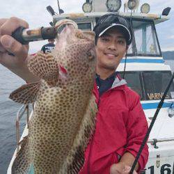 シードリーム 釣果