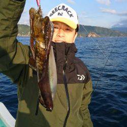 シードリーム 釣果