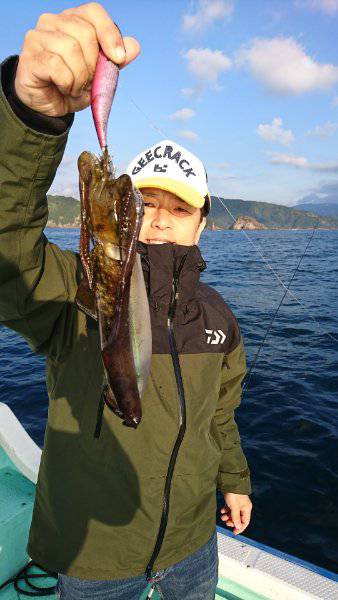 シードリーム 釣果