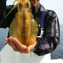 金剛丸 釣果