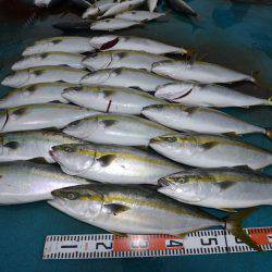 アジアマリンサービス 釣果