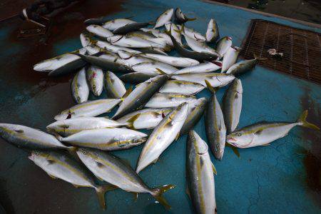アジアマリンサービス 釣果