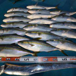 アジアマリンサービス 釣果