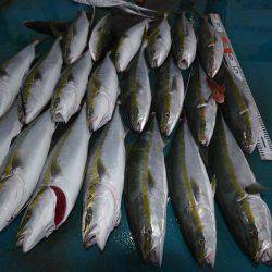 アジアマリンサービス 釣果