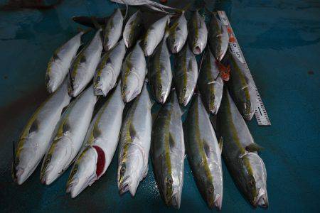 アジアマリンサービス 釣果