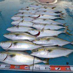 アジアマリンサービス 釣果