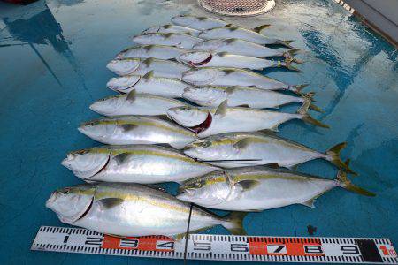 アジアマリンサービス 釣果