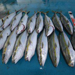 アジアマリンサービス 釣果